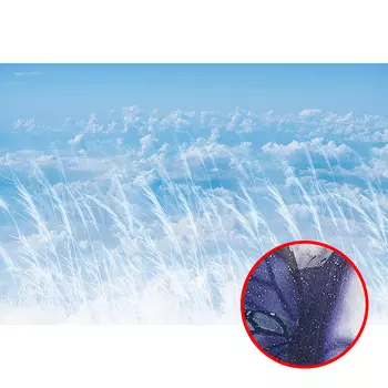 Фреска Ortograf