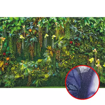 Фреска Ortograf