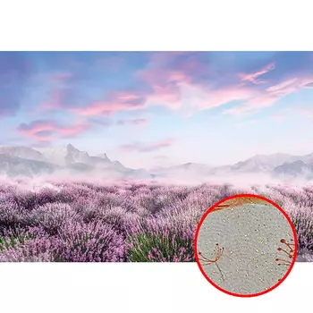 Фреска Ortograf