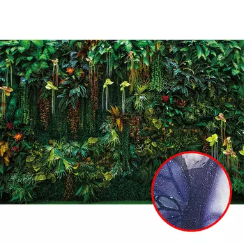 Фреска Ortograf