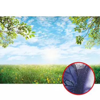 Фреска Ortograf