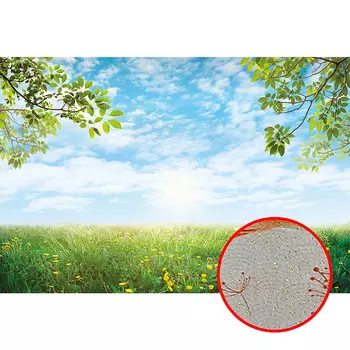 Фреска Ortograf