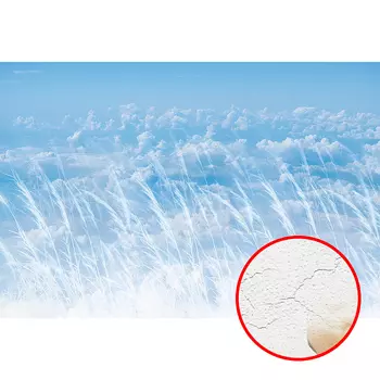 Фреска Ortograf