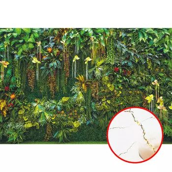 Фреска Ortograf