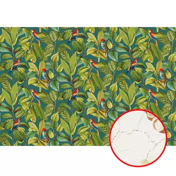 Фреска Ortograf