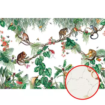 Фреска Ortograf