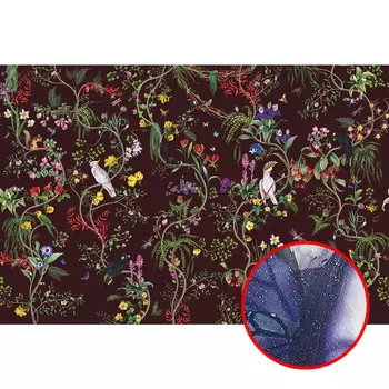 Фреска Ortograf