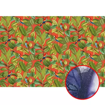 Фреска Ortograf