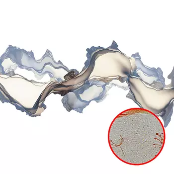 Фреска Ortograf