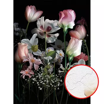 Фреска Ortograf