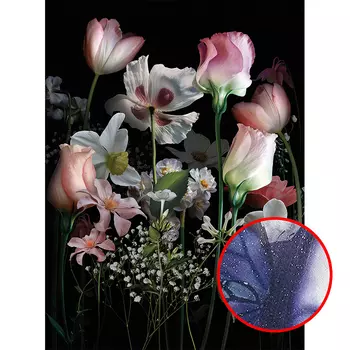 Фреска Ortograf