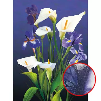 Фреска Ortograf