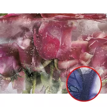 Фреска Ortograf