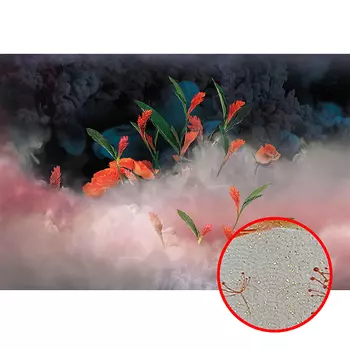 Фреска Ortograf