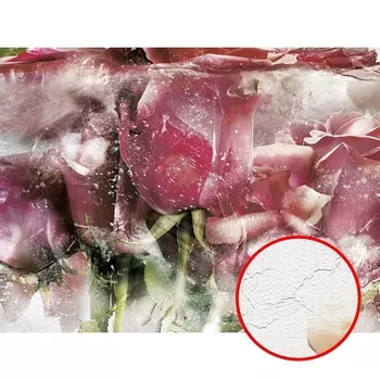 Фреска Ortograf