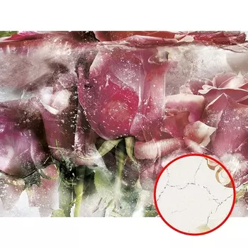 Фреска Ortograf