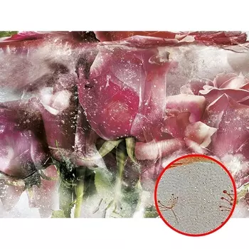 Фреска Ortograf