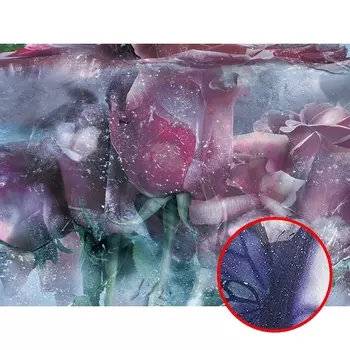 Фреска Ortograf