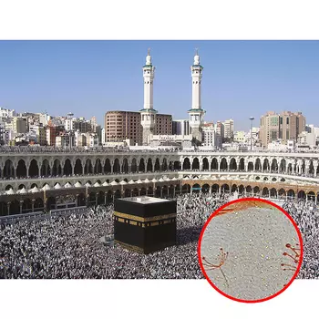 Фреска Ortograf