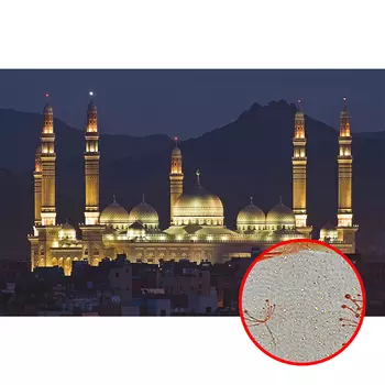 Фреска Ortograf