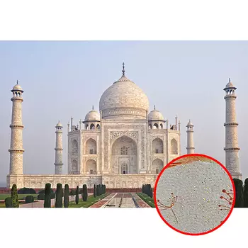 Фреска Ortograf