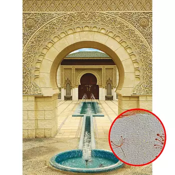 Фреска Ortograf