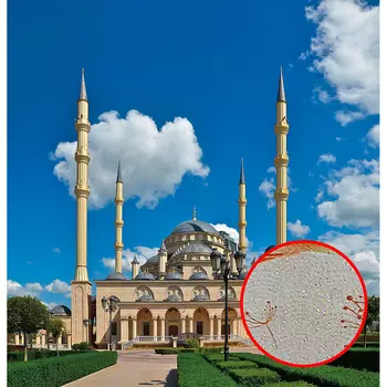 Фреска Ortograf