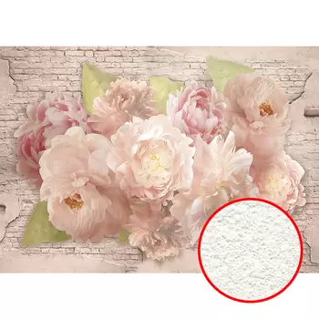 Фреска Ortograf