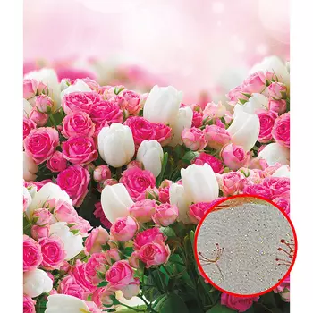 Фреска Ortograf