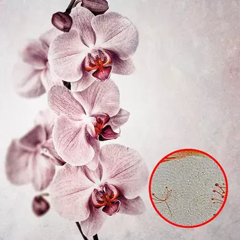 Фреска Ortograf