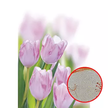 Фреска Ortograf