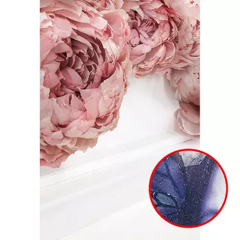 Фреска Ortograf