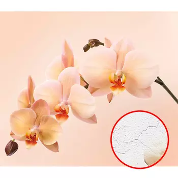 Фреска Ortograf