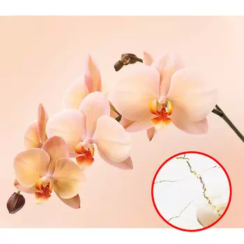 Фреска Ortograf