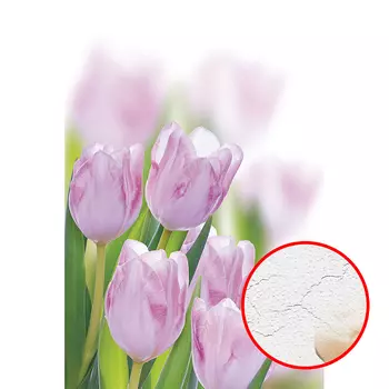 Фреска Ortograf