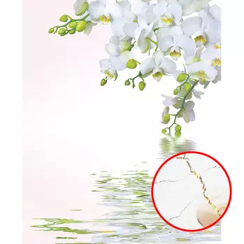 Фреска Ortograf