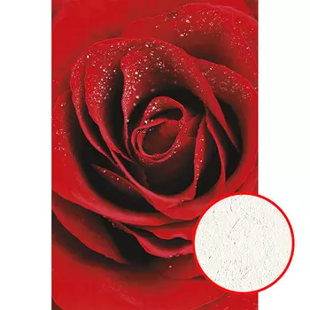 Фреска Ortograf