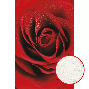 Фреска Ortograf