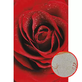 Фреска Ortograf