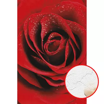 Фреска Ortograf