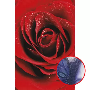 Фреска Ortograf