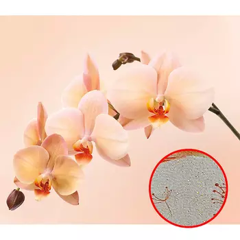 Фреска Ortograf