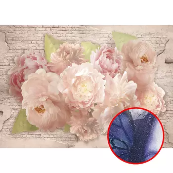 Фреска Ortograf