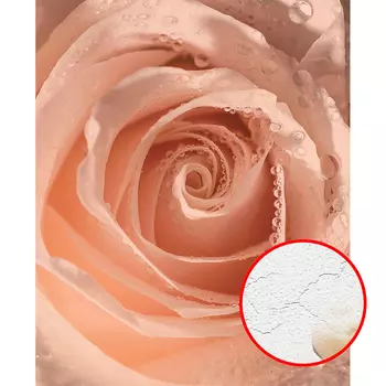 Фреска Ortograf