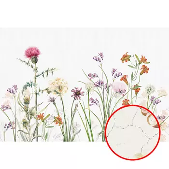 Фреска Ortograf