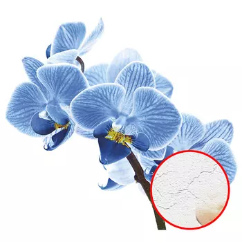 Фреска Ortograf