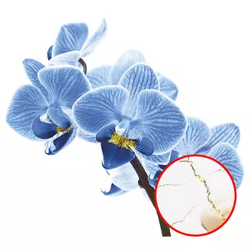 Фреска Ortograf