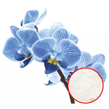 Фреска Ortograf