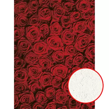 Фреска Ortograf