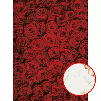 Фреска Ortograf